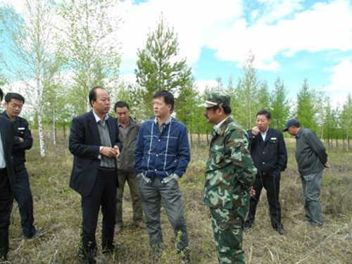 ��ί���������ָ������