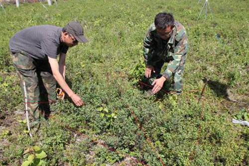 ǰ���ֳ�ְ�����в�������