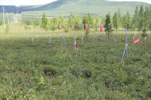 ǰ���ֳ�����ݮ���ذ��������������